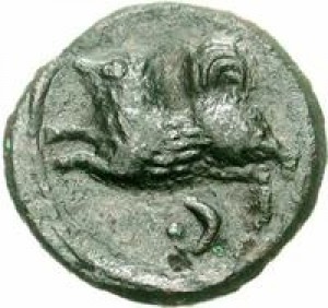 Coin photo
