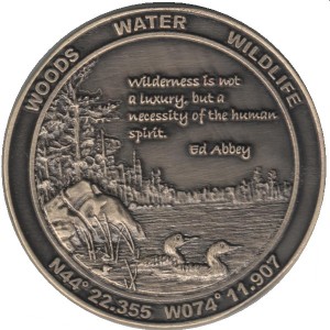 Coin photo