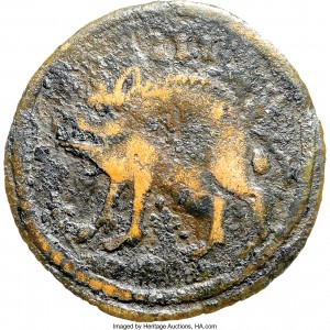 Coin photo