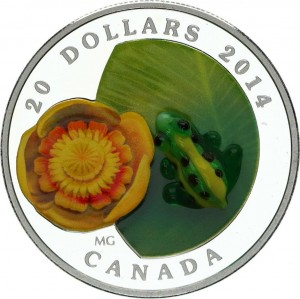 Coin photo