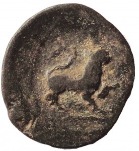 Coin photo