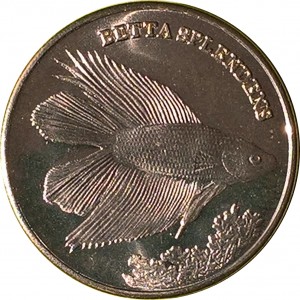 Coin photo