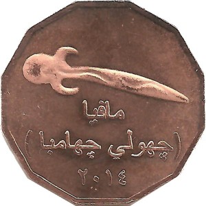 Coin photo