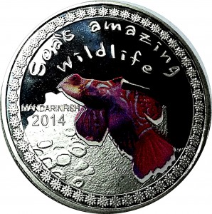 Coin photo