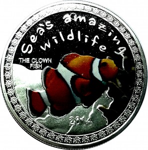 Coin photo