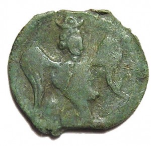Coin photo