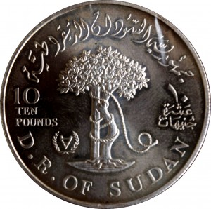 Coin photo