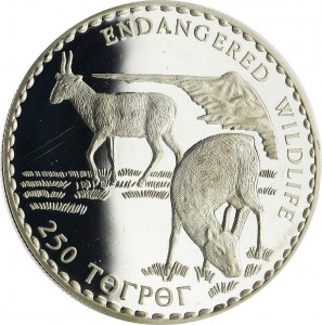 Coin photo