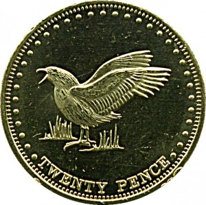 Coin photo