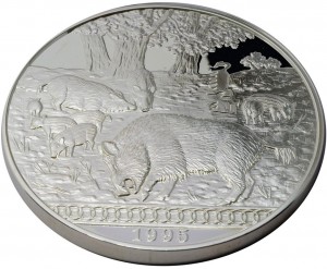 Coin photo