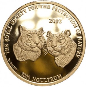 Coin photo