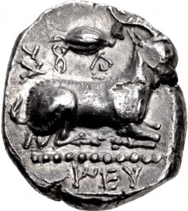 Coin photo