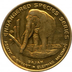 Coin photo