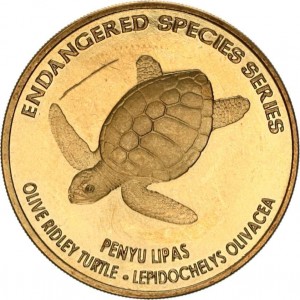 Coin photo