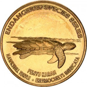 Coin photo