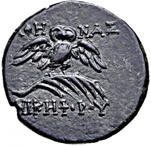Reverse