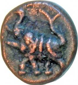 Coin photo