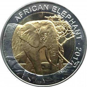 Coin photo