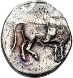 Coin photo