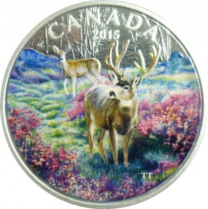 Coin photo