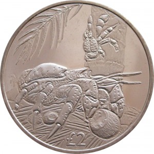 Coin photo