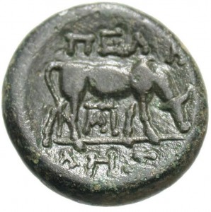 Reverse