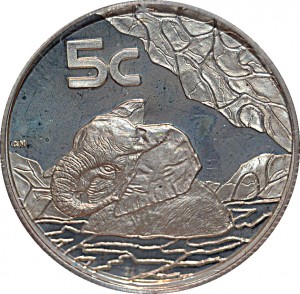 Coin photo