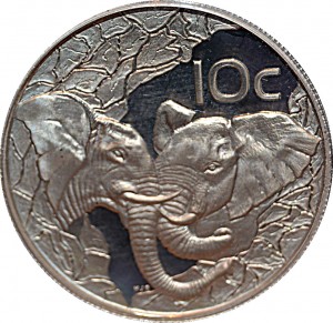 Coin photo