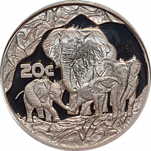 Coin photo