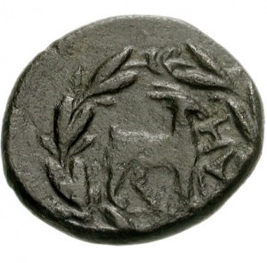 Coin photo