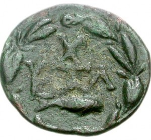 Coin photo