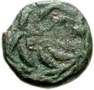 Coin photo