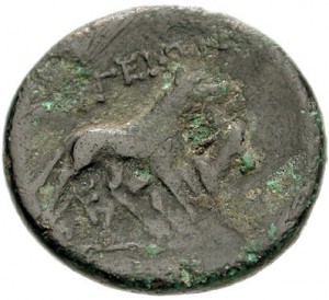 Coin photo