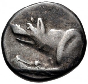Coin photo