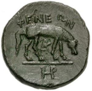 Coin photo