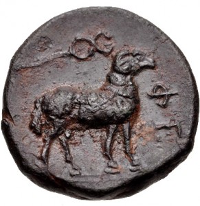 Coin photo