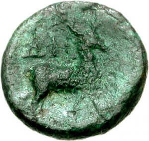 Coin photo
