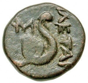 Coin photo