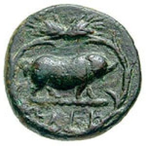 Coin photo