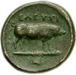 Coin photo