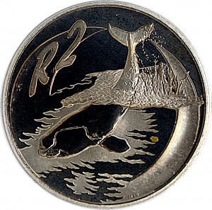 Coin photo