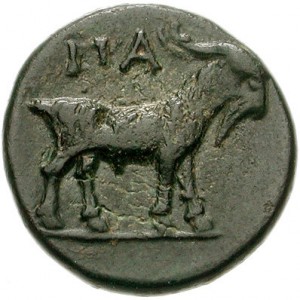 Coin photo