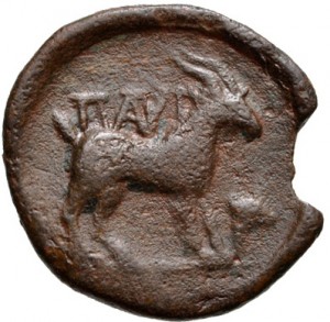 Coin photo