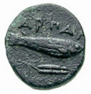 Coin photo