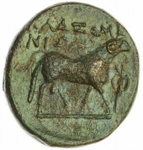 Coin photo