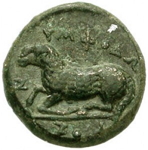 Coin photo