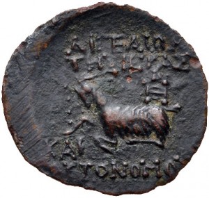 Coin photo