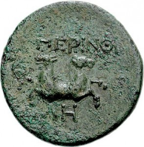 Coin photo