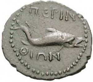 Coin photo