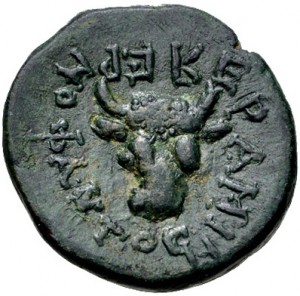 Coin photo